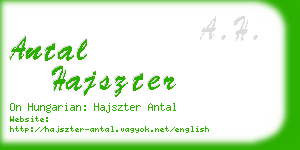 antal hajszter business card